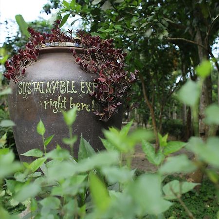 Thuy Bieu Homestay Hue Eksteriør bilde