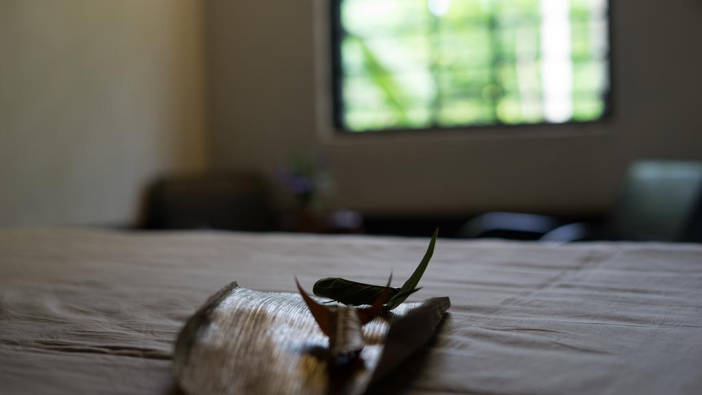 Thuy Bieu Homestay Hue Eksteriør bilde