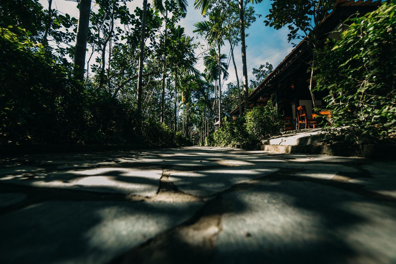 Thuy Bieu Homestay Hue Rom bilde