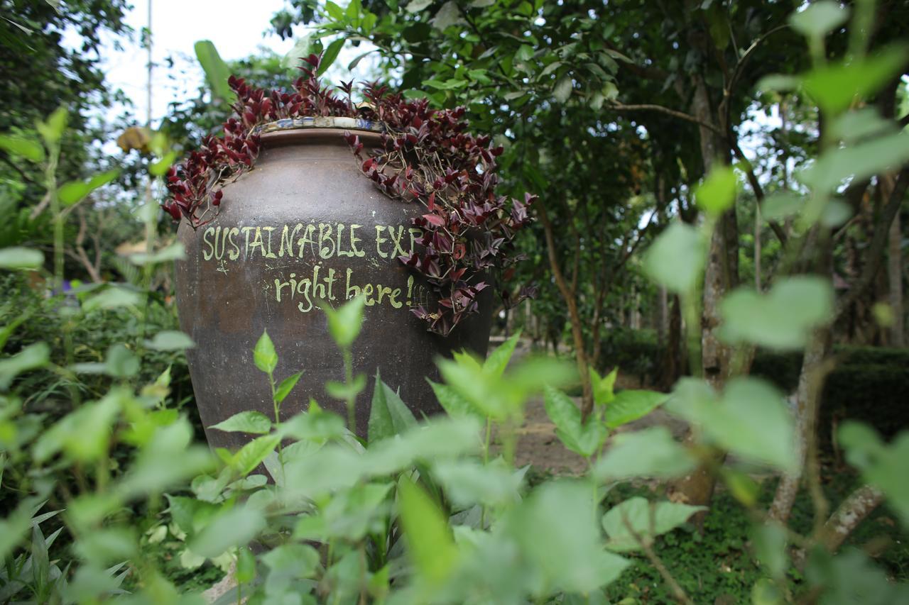 Thuy Bieu Homestay Hue Eksteriør bilde