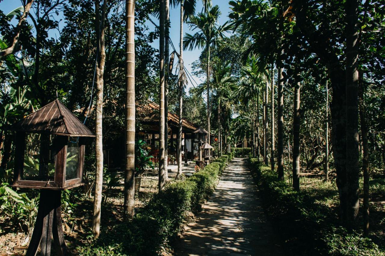 Thuy Bieu Homestay Hue Eksteriør bilde