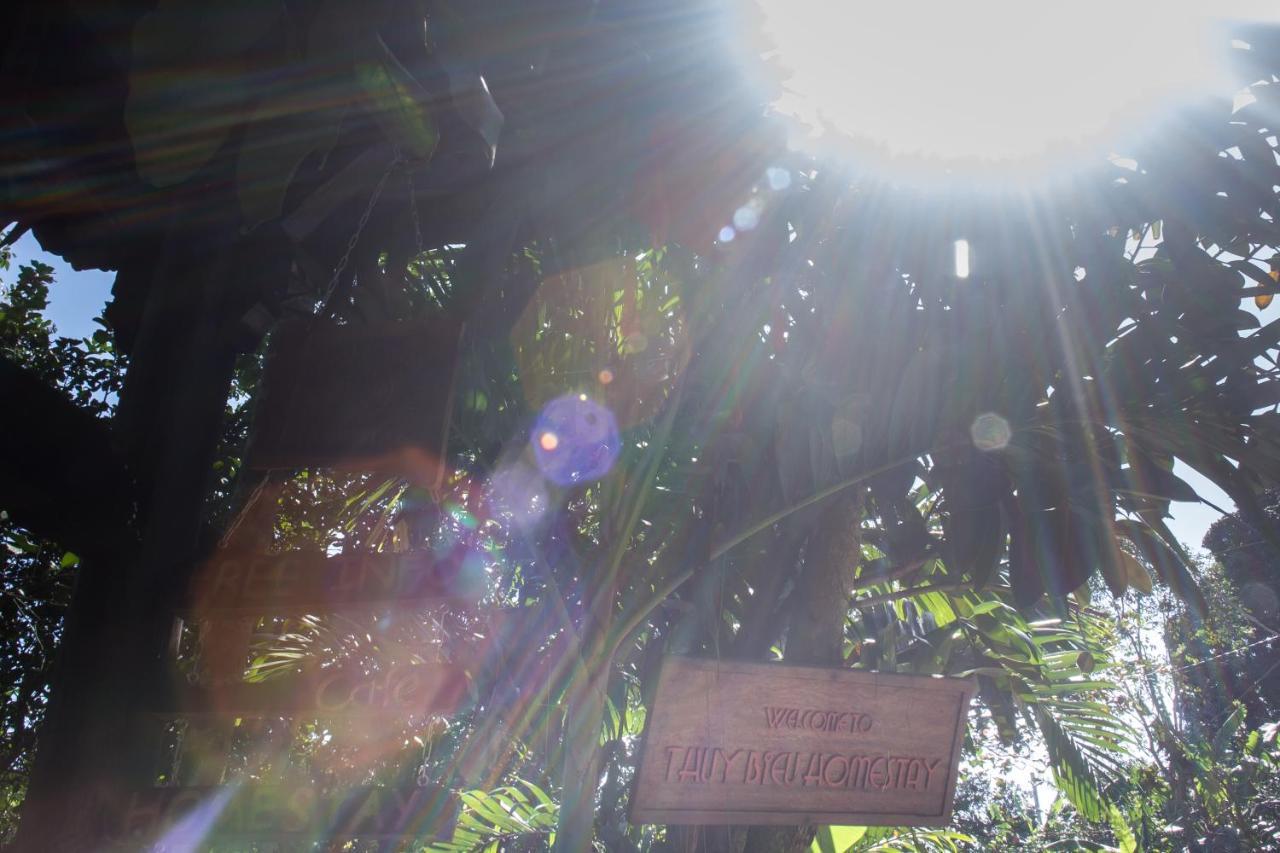Thuy Bieu Homestay Hue Rom bilde
